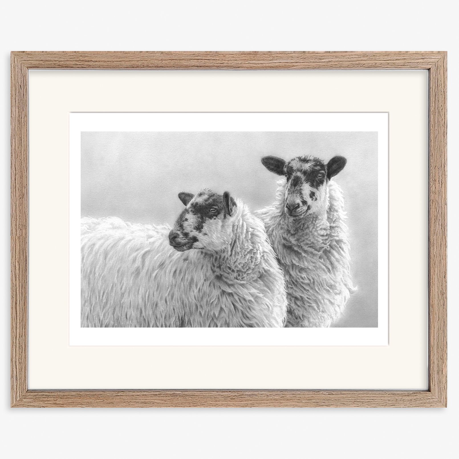 Mules_sheep_walnut.jpg