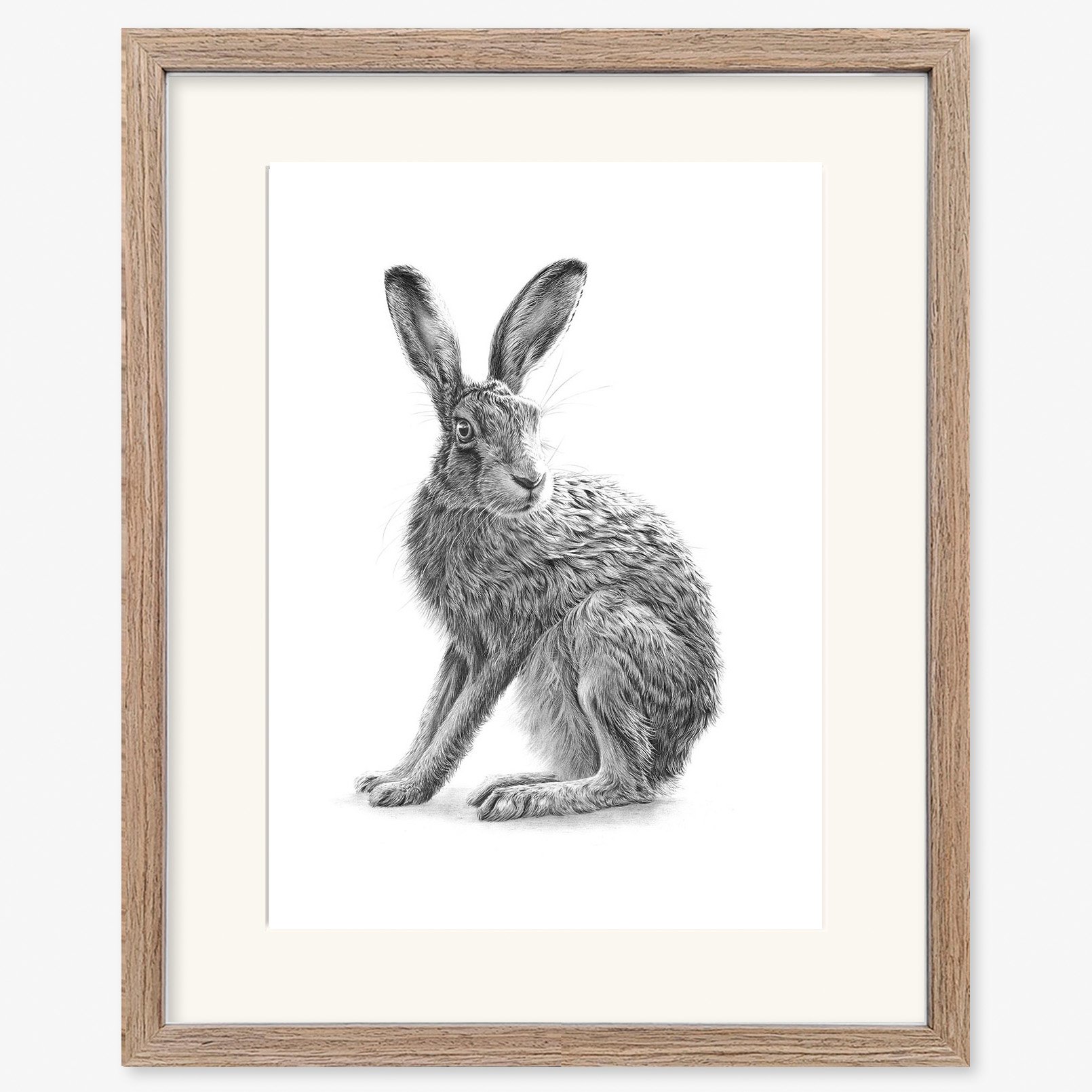 Hare_sitting_II copy_walnut.jpg