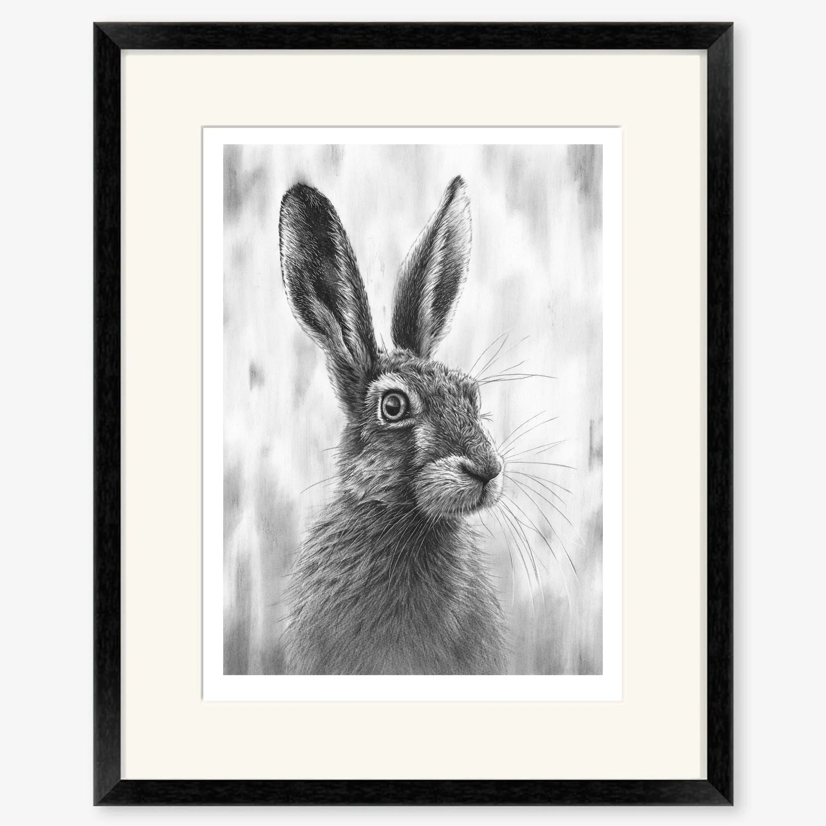 brown_hare_V_black.jpg