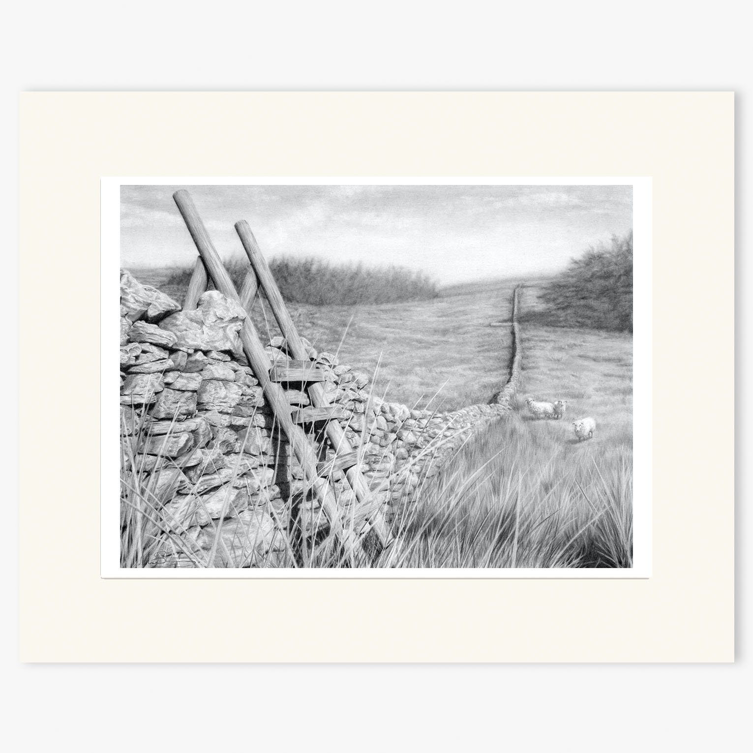Ladder Stile at Hawes_mounted.jpg