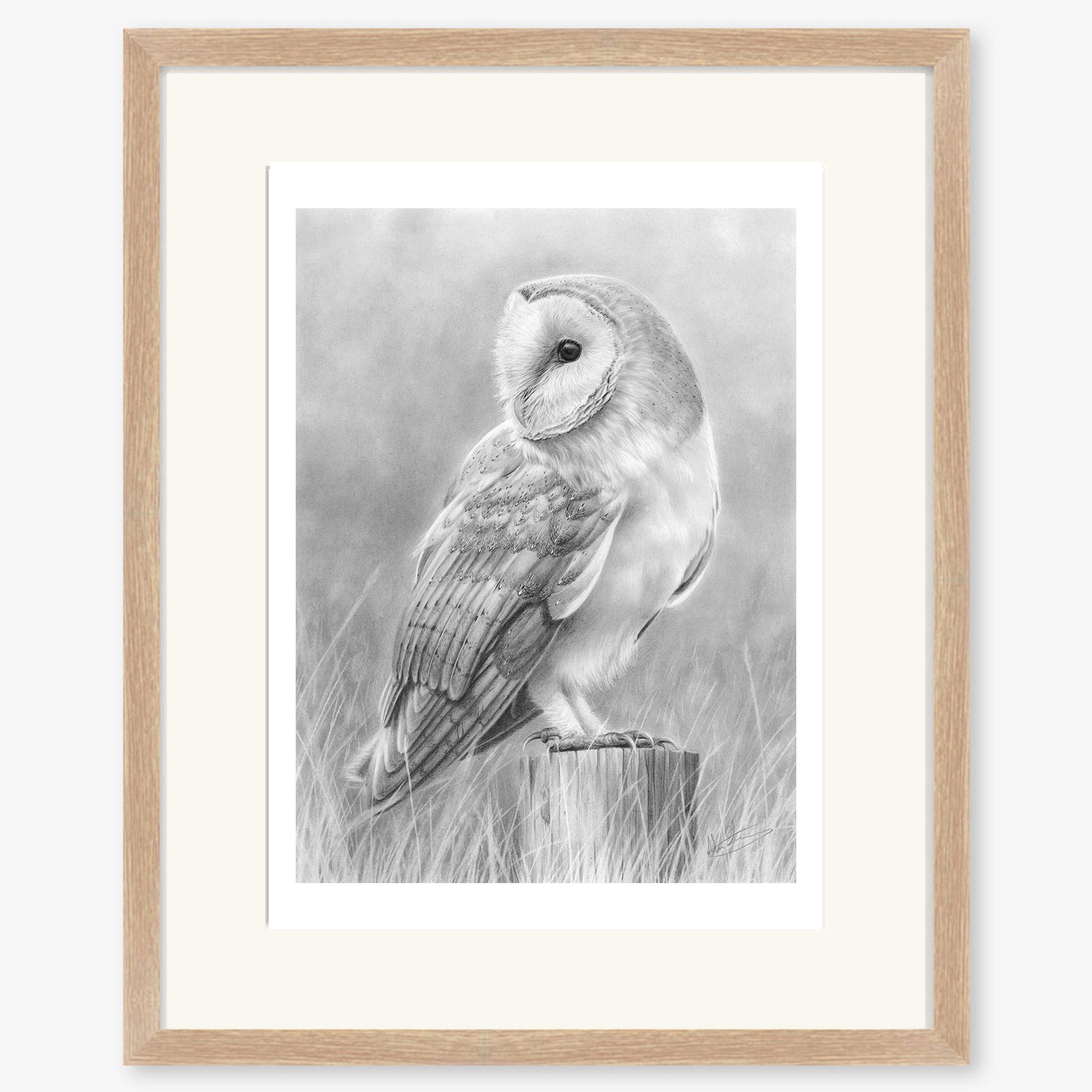 Barn Owl 2_oak.jpg