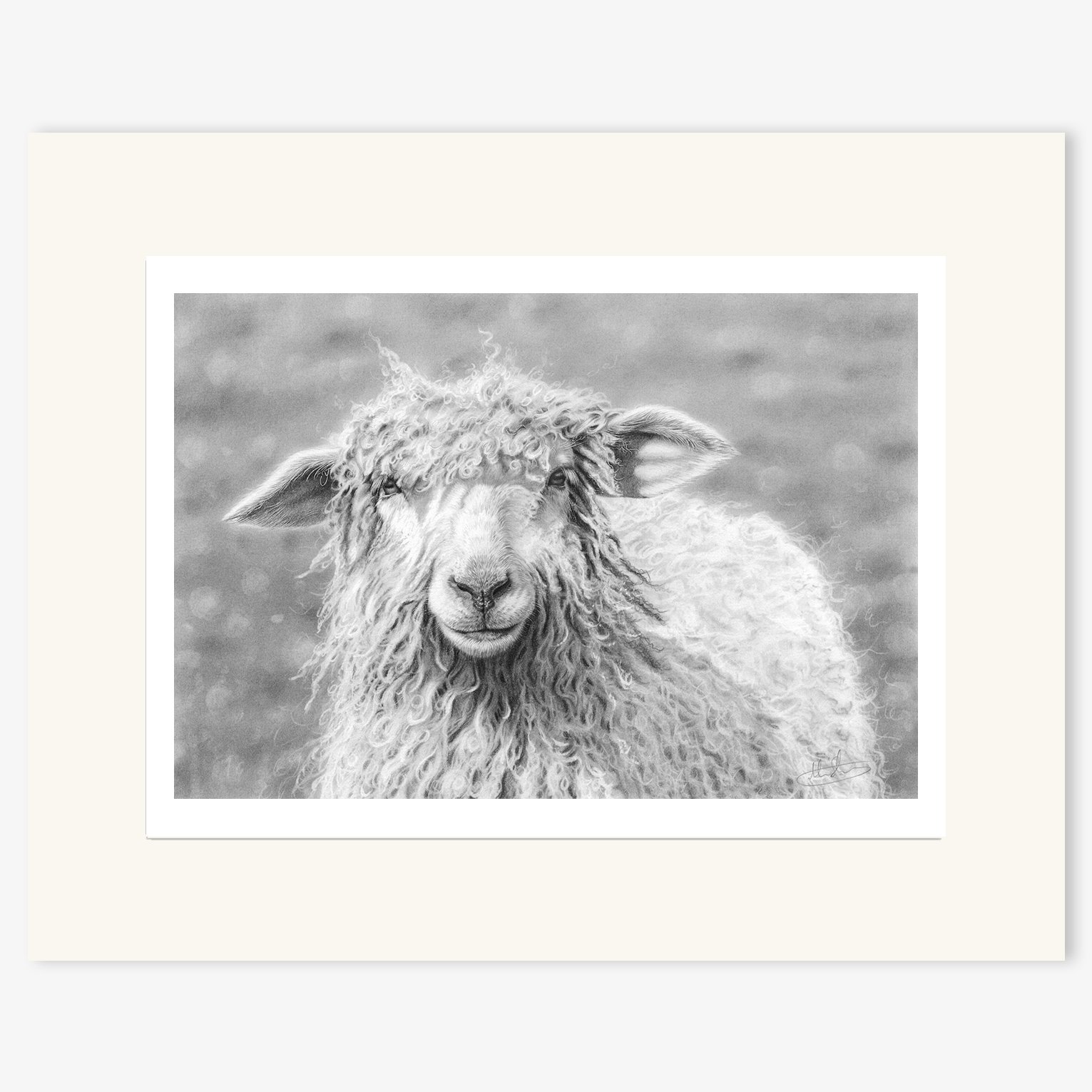 Wensleydale_ewe_mounted.jpg