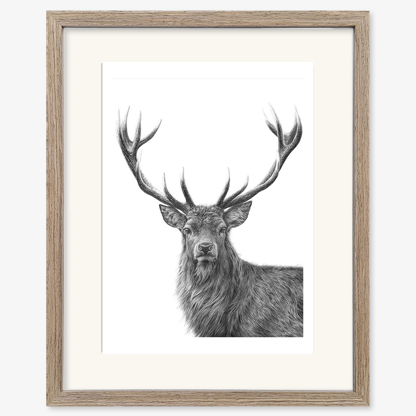 red_stag_II_walnut.jpg