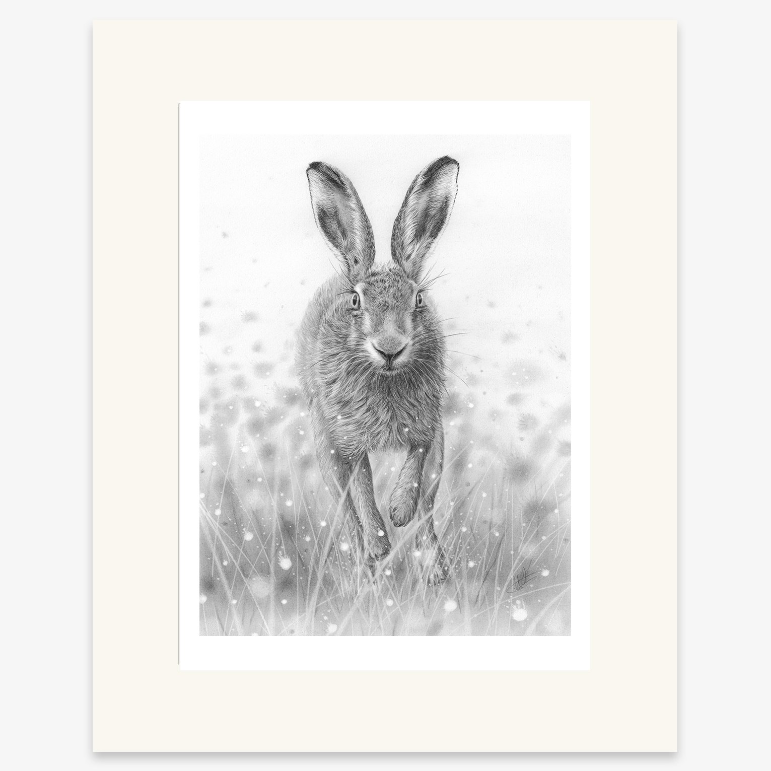 hare_running_mounted.jpg