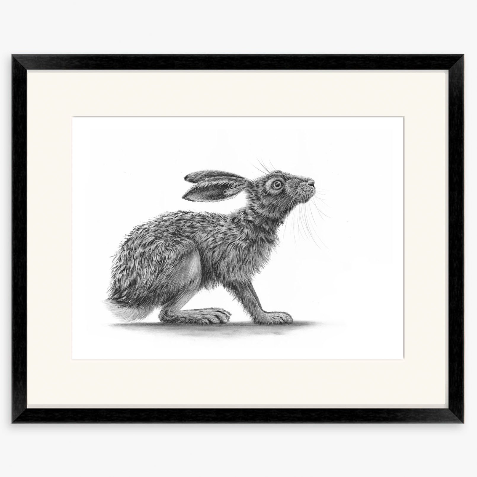hare_crouching_II_black.jpg