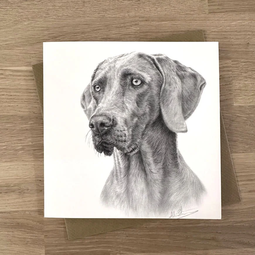 weimaraner.jpg