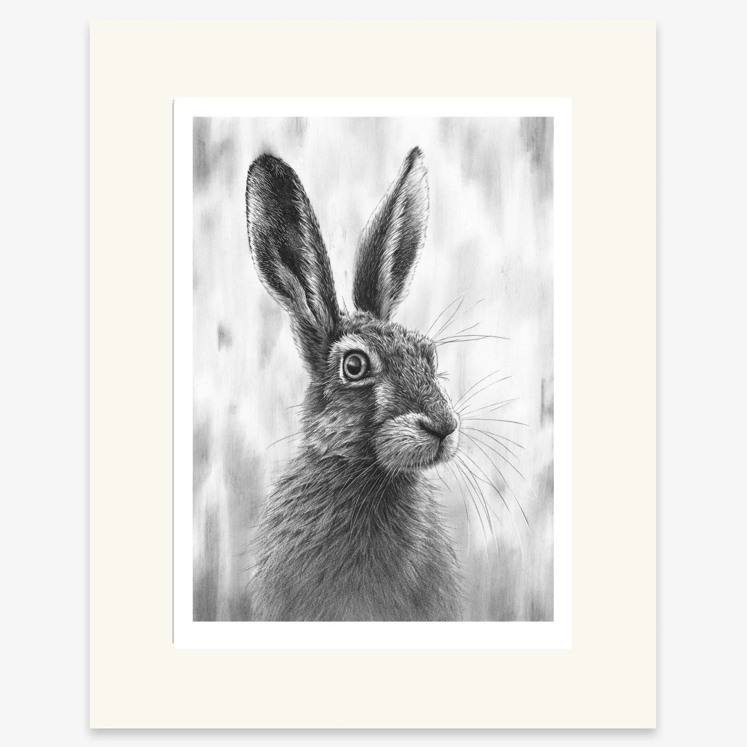 brown_hare_V_mounted.jpg