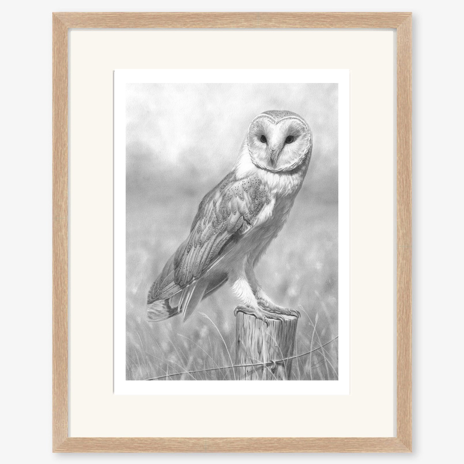 Barn Owl_oak.jpg