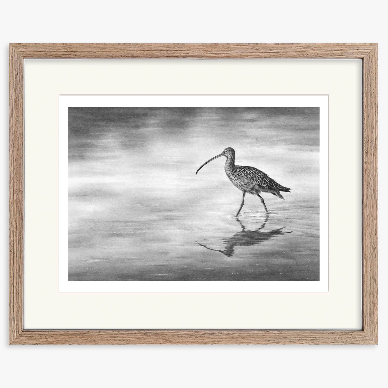 curlew-wading-II_walnut.jpg