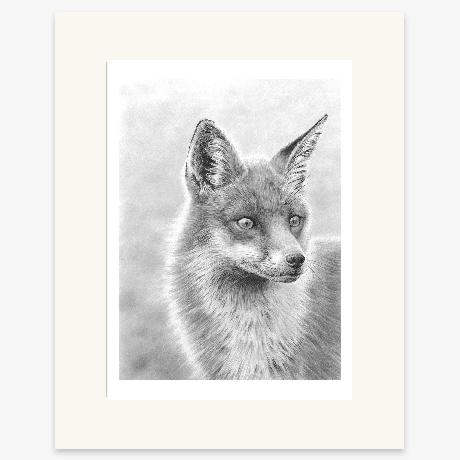 fox_red_mounted.jpg