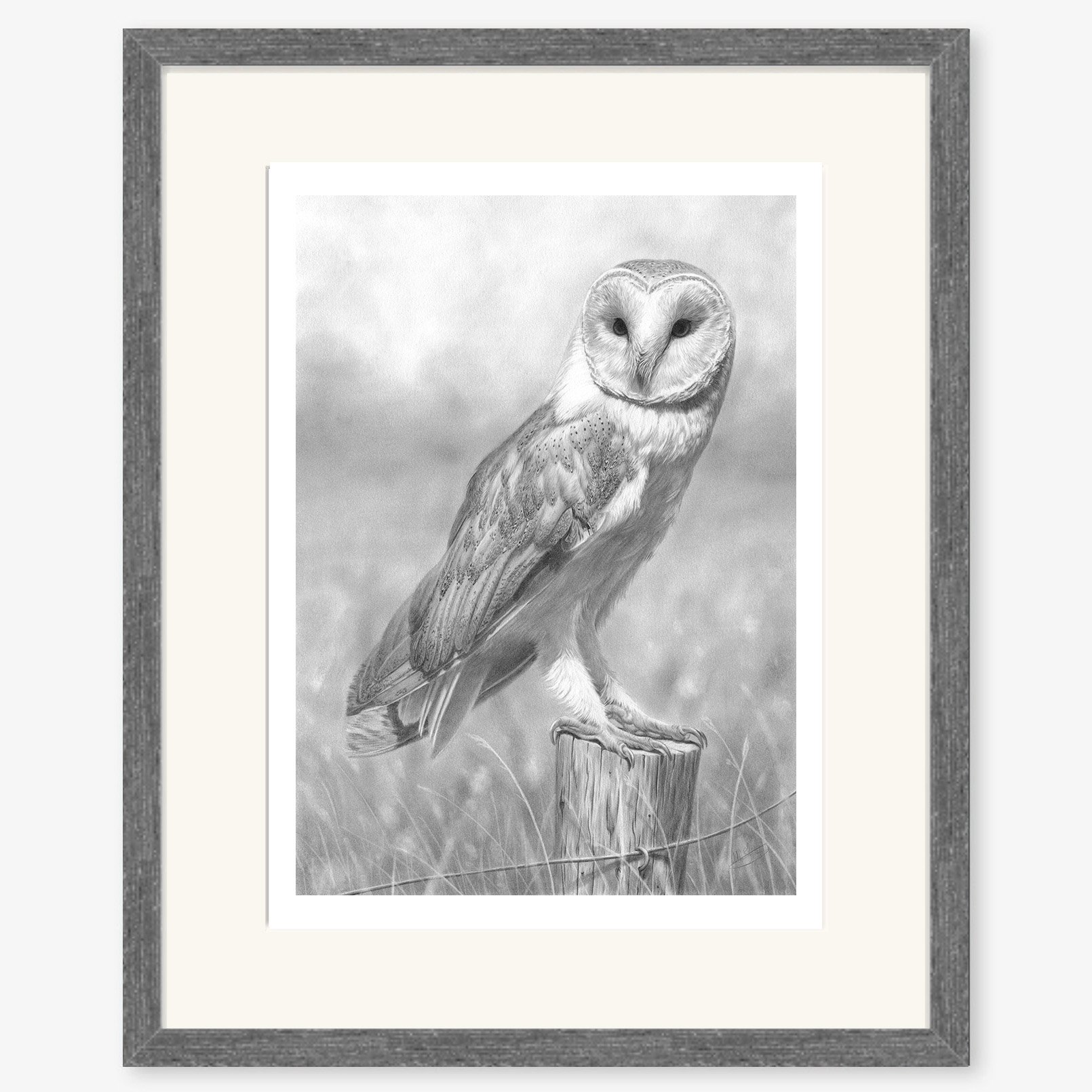 Barn Owl_charcoal.jpg