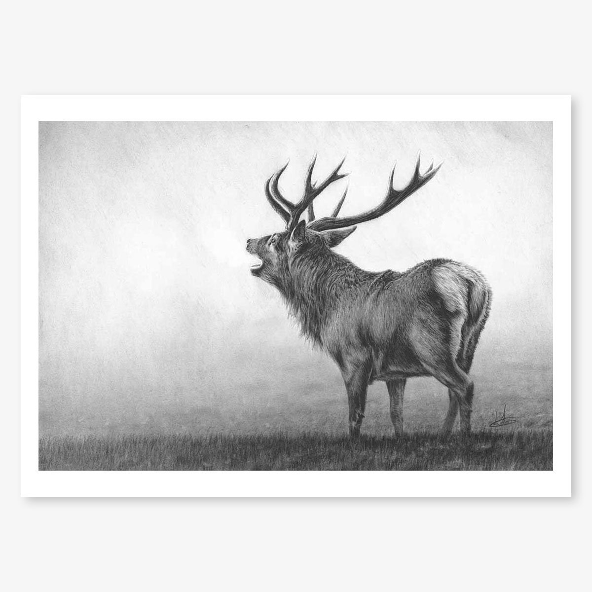 roaring_stag_II_floating.jpg