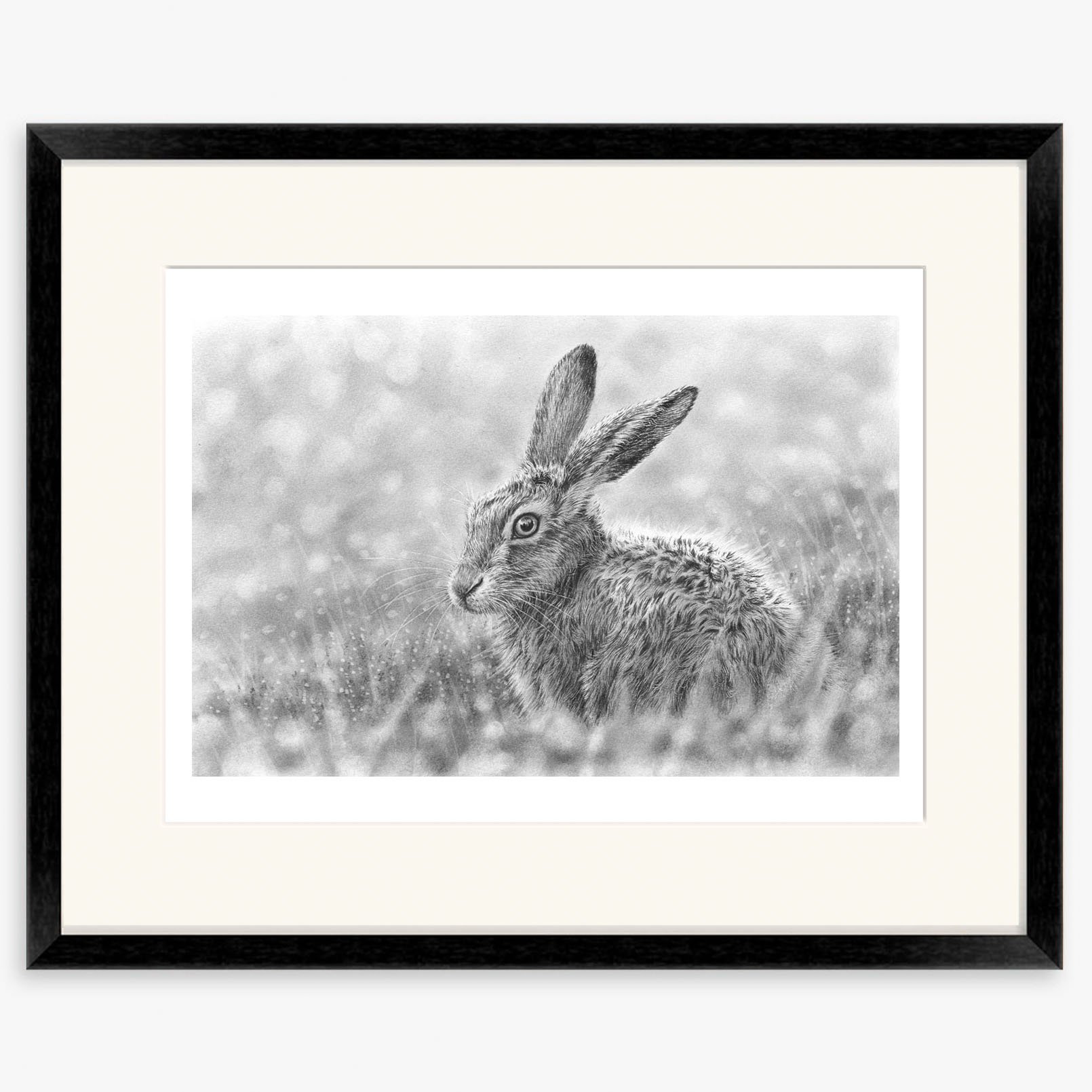 leveret_black.jpg