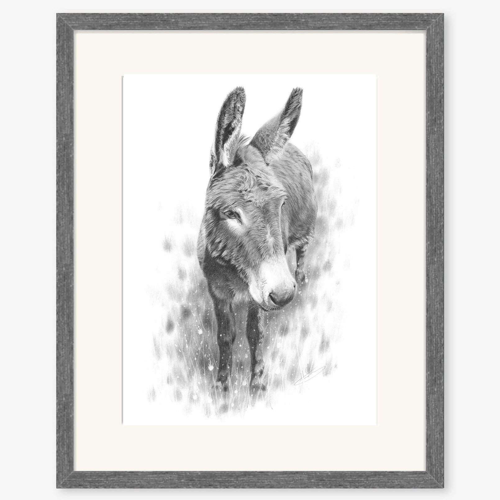 donkey_study_charcoal.jpg