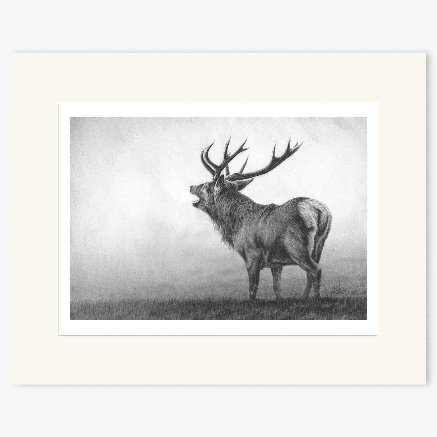 roaring_stag_II_mounted.jpg