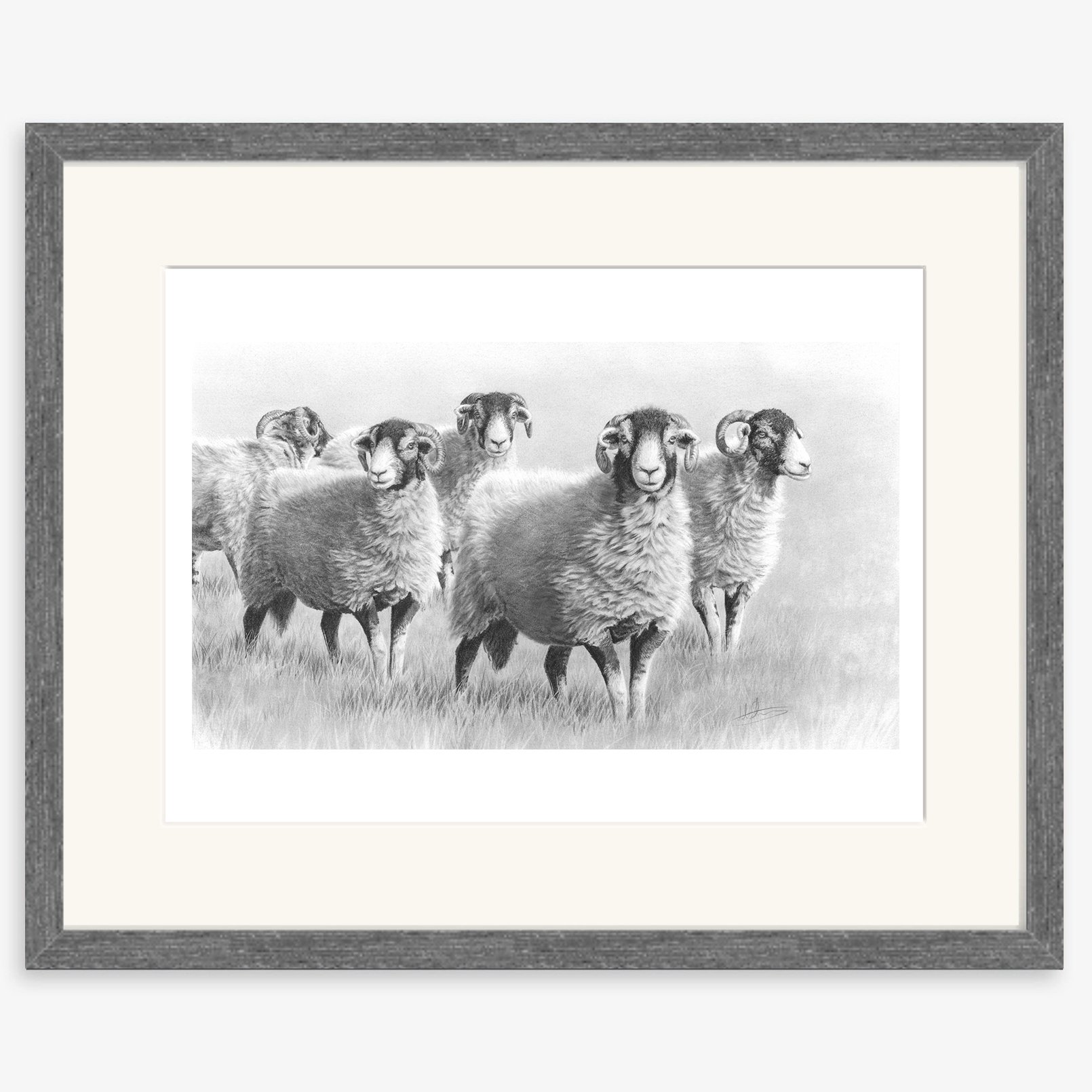 Summer_swaledales_charcoal.jpg