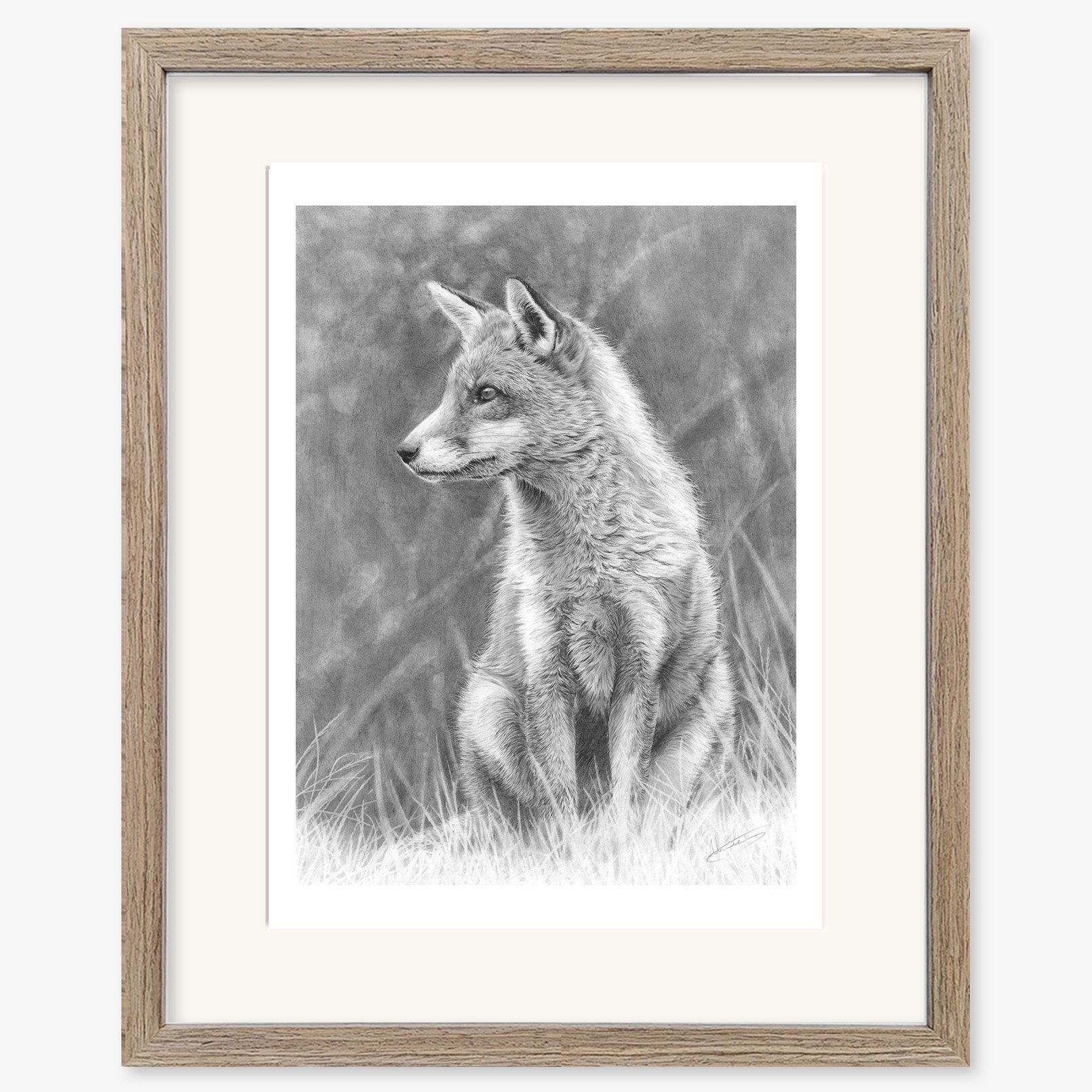 fox_study_walnut.jpg