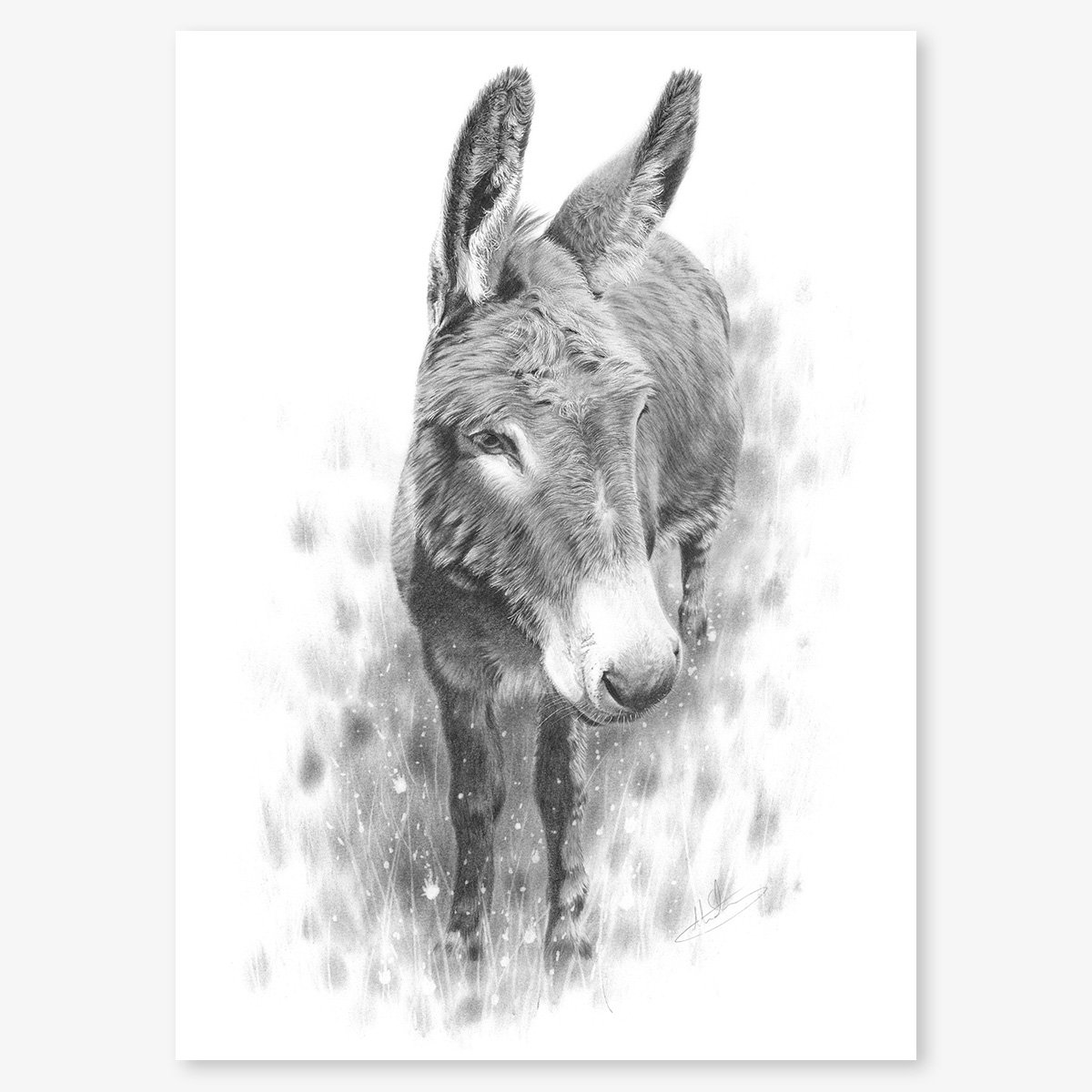 donkey_study_floating.jpg