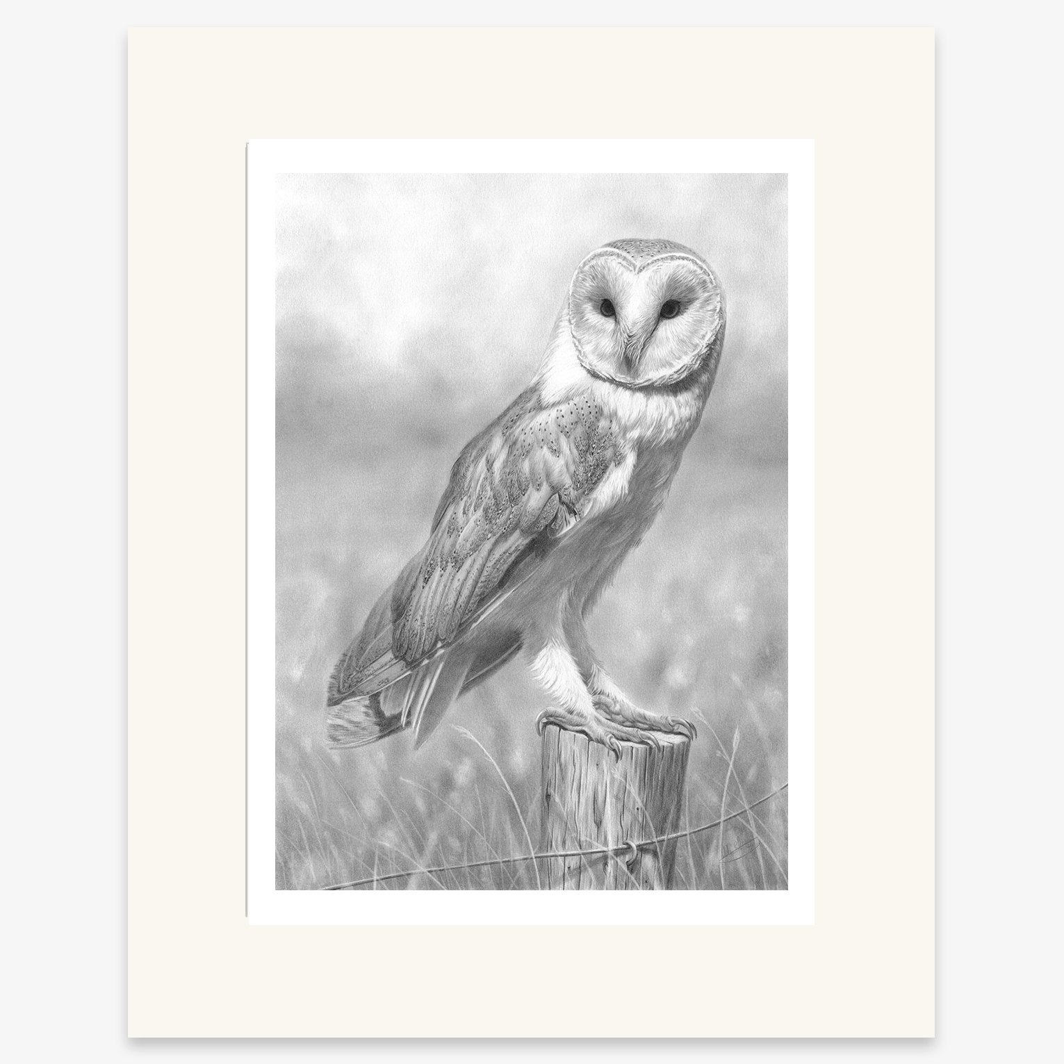 Barn Owl_mounted.jpg