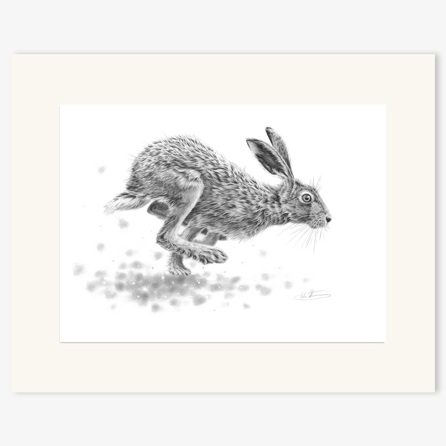 hare_running_2_mounted.jpg