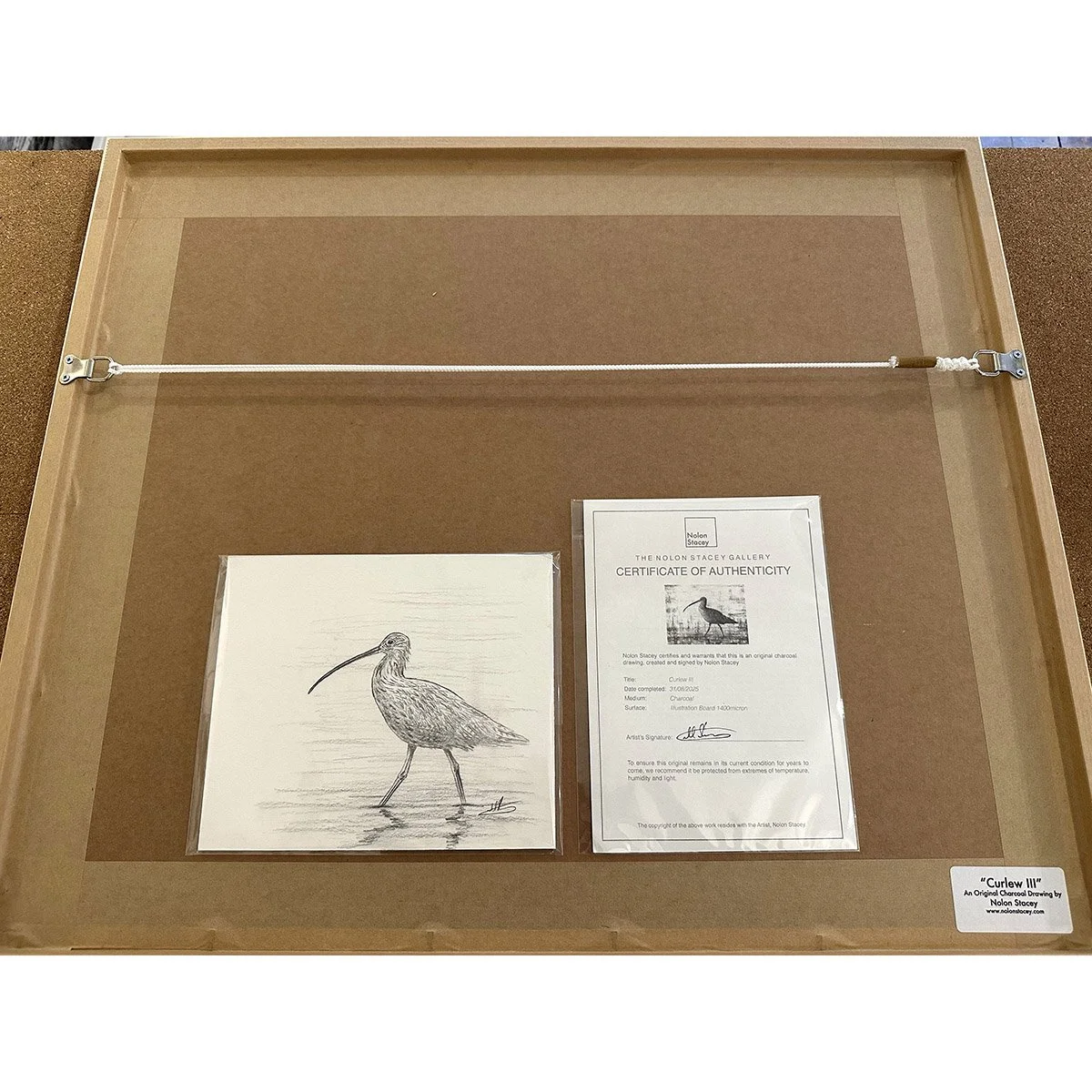 curlew_III_back.jpg