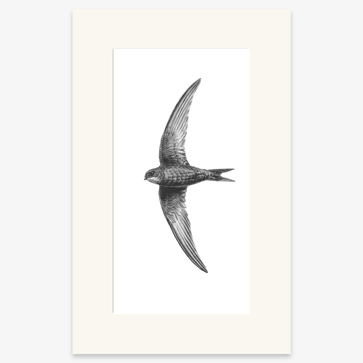 swift_mounted.jpg