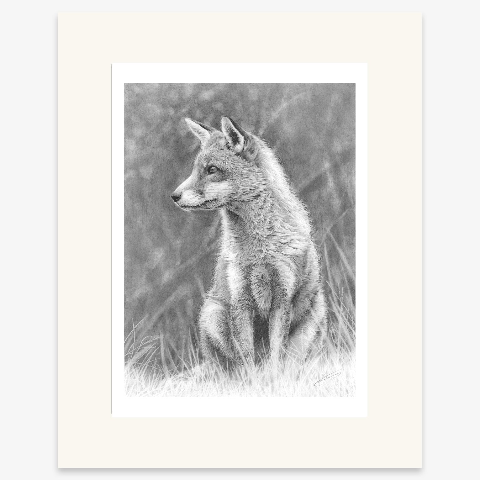 fox_study_mounted.jpg