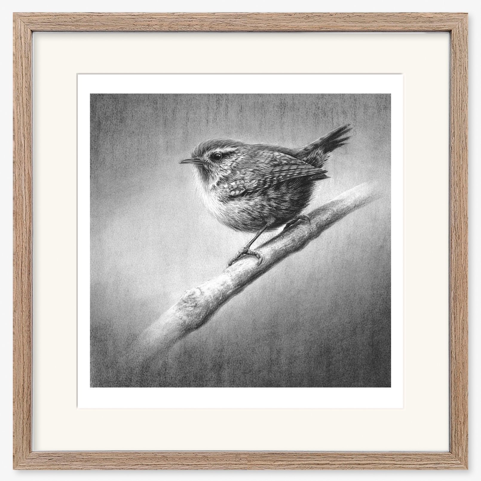 wren_II_walnut.jpg