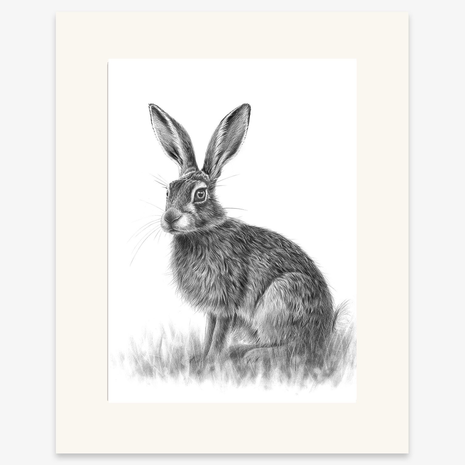 sitting_hare_IV_mounted.jpg