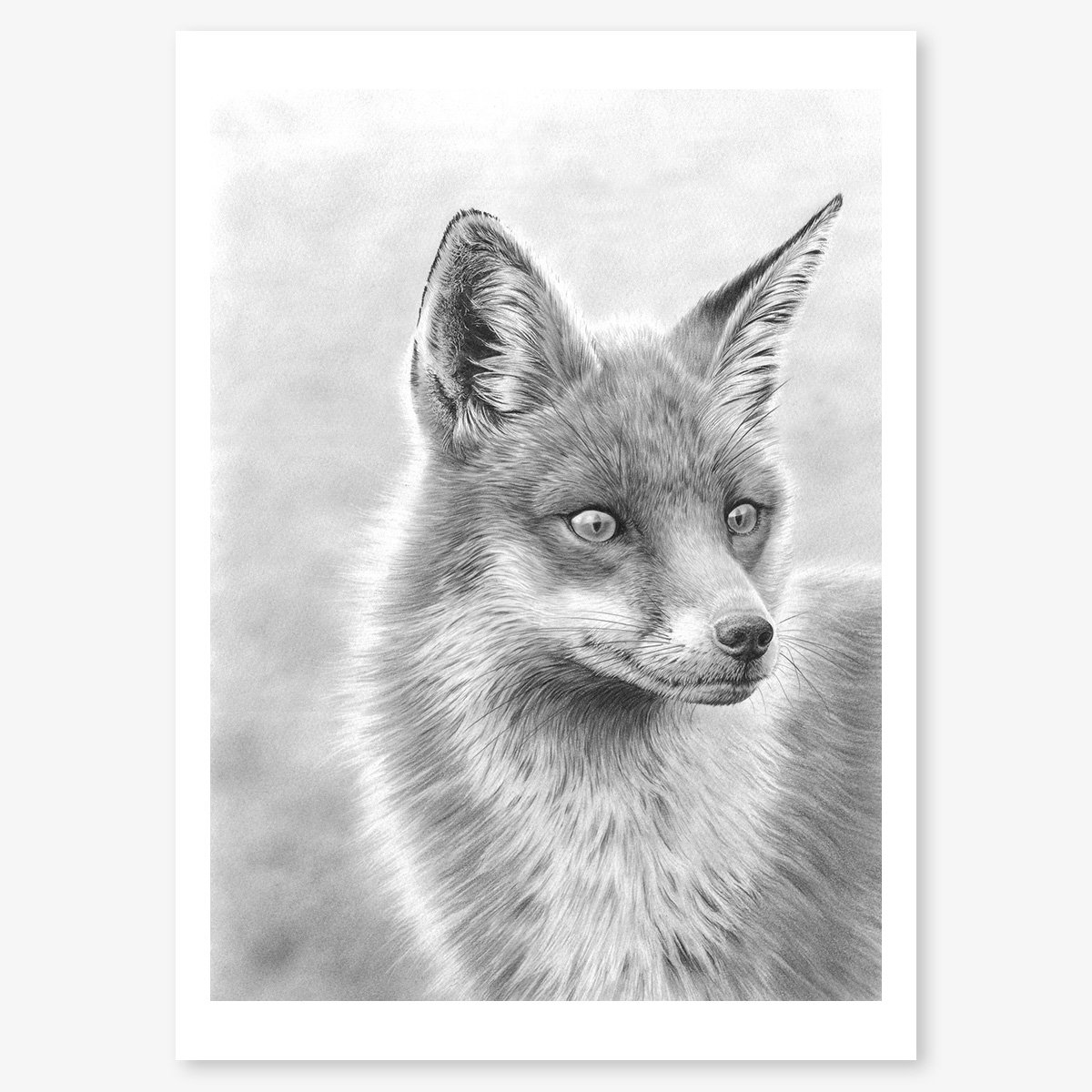 fox_red_floating.jpg