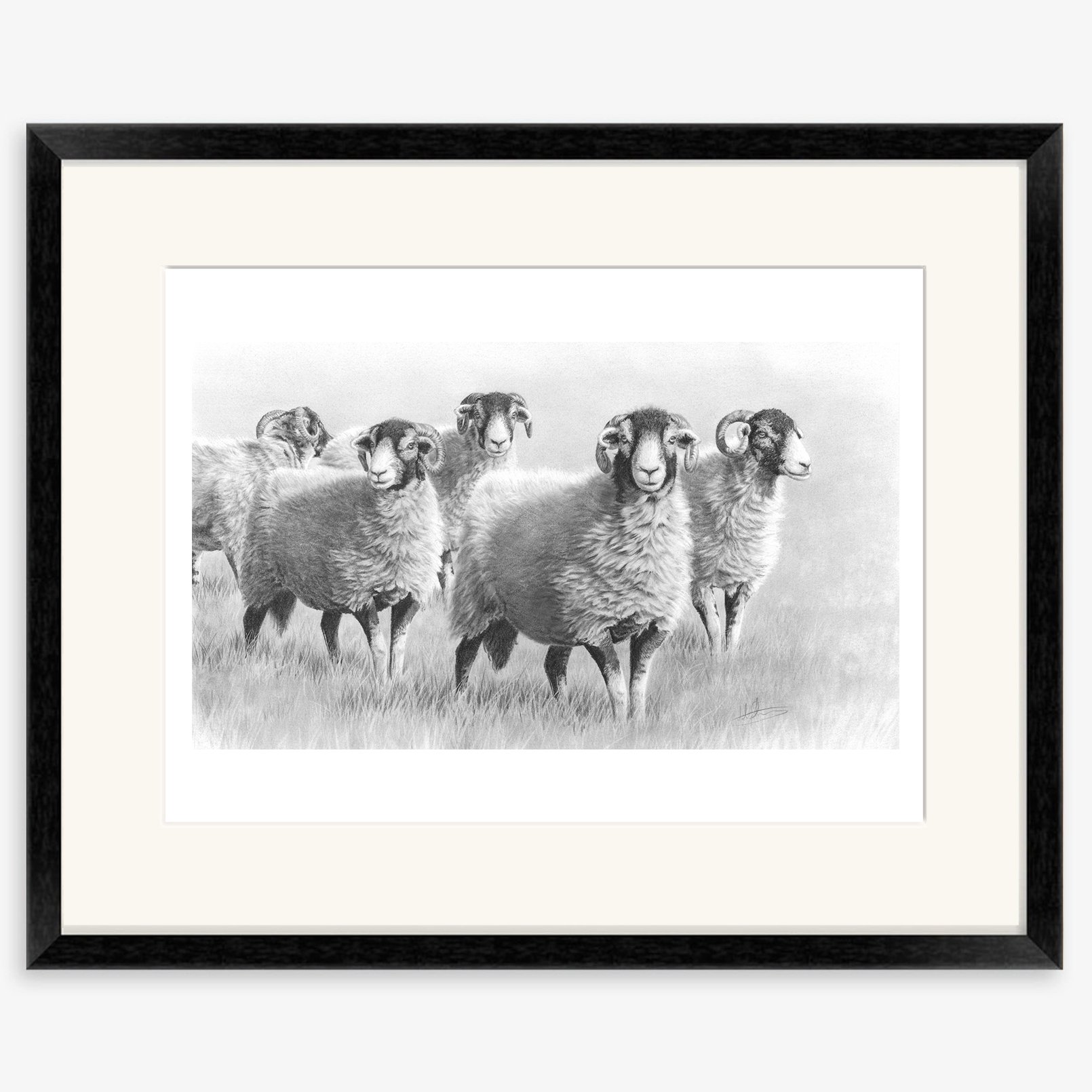 Summer_swaledales_black.jpg