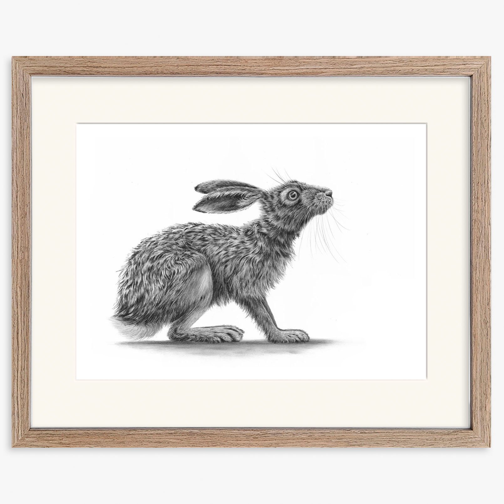 hare_crouching_II_walnut.jpg