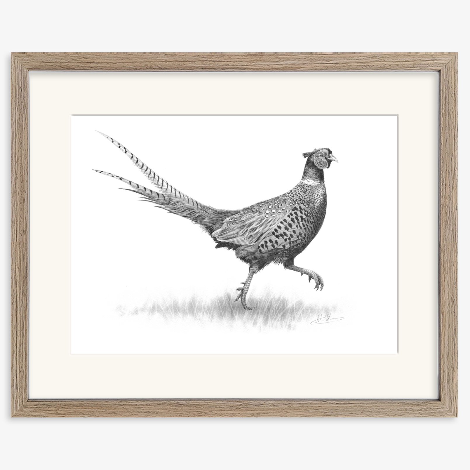 strutting pheasant_walnut.jpg