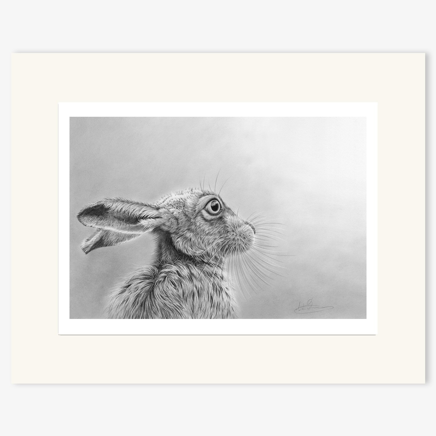 Hare_Gazing_mounted.jpg