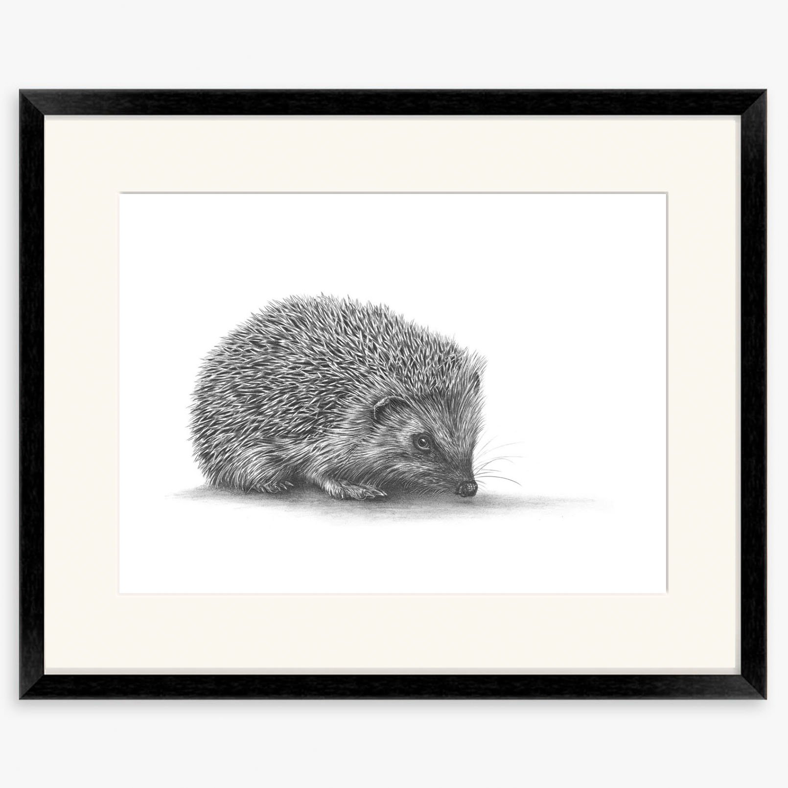 hedgehog2_black.jpg
