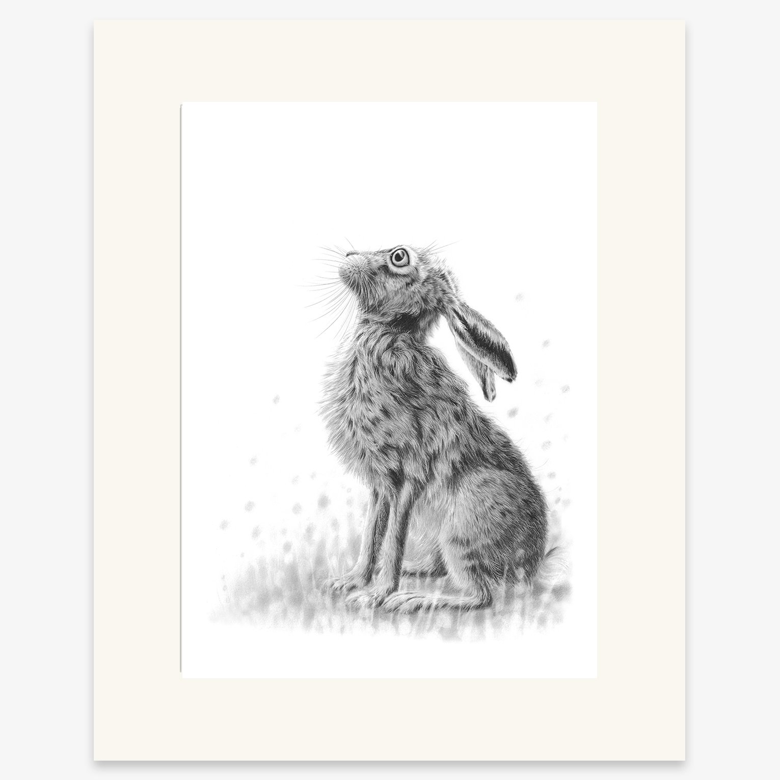 Hare Gazing II_mounted.jpg