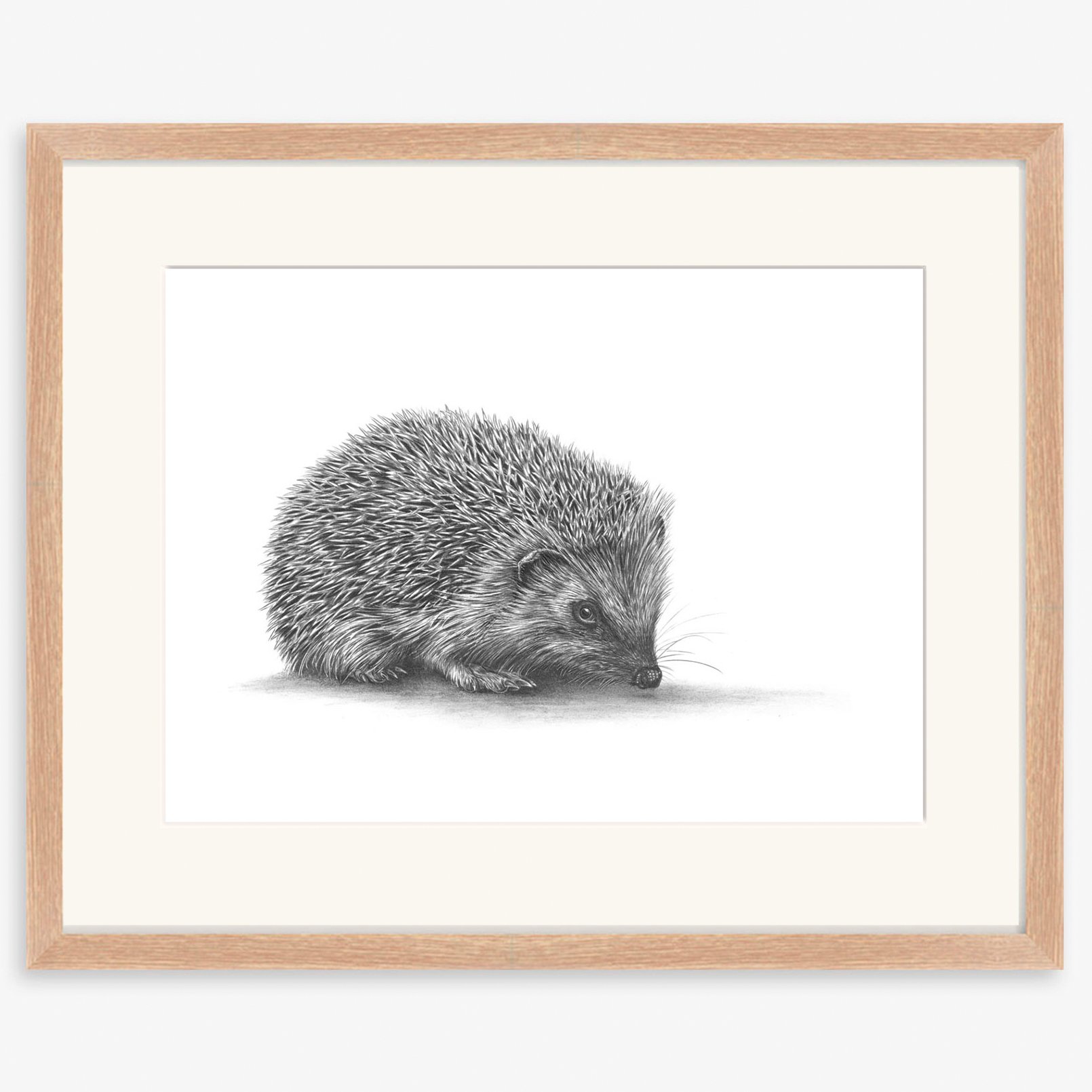 hedgehog2_oak.jpg