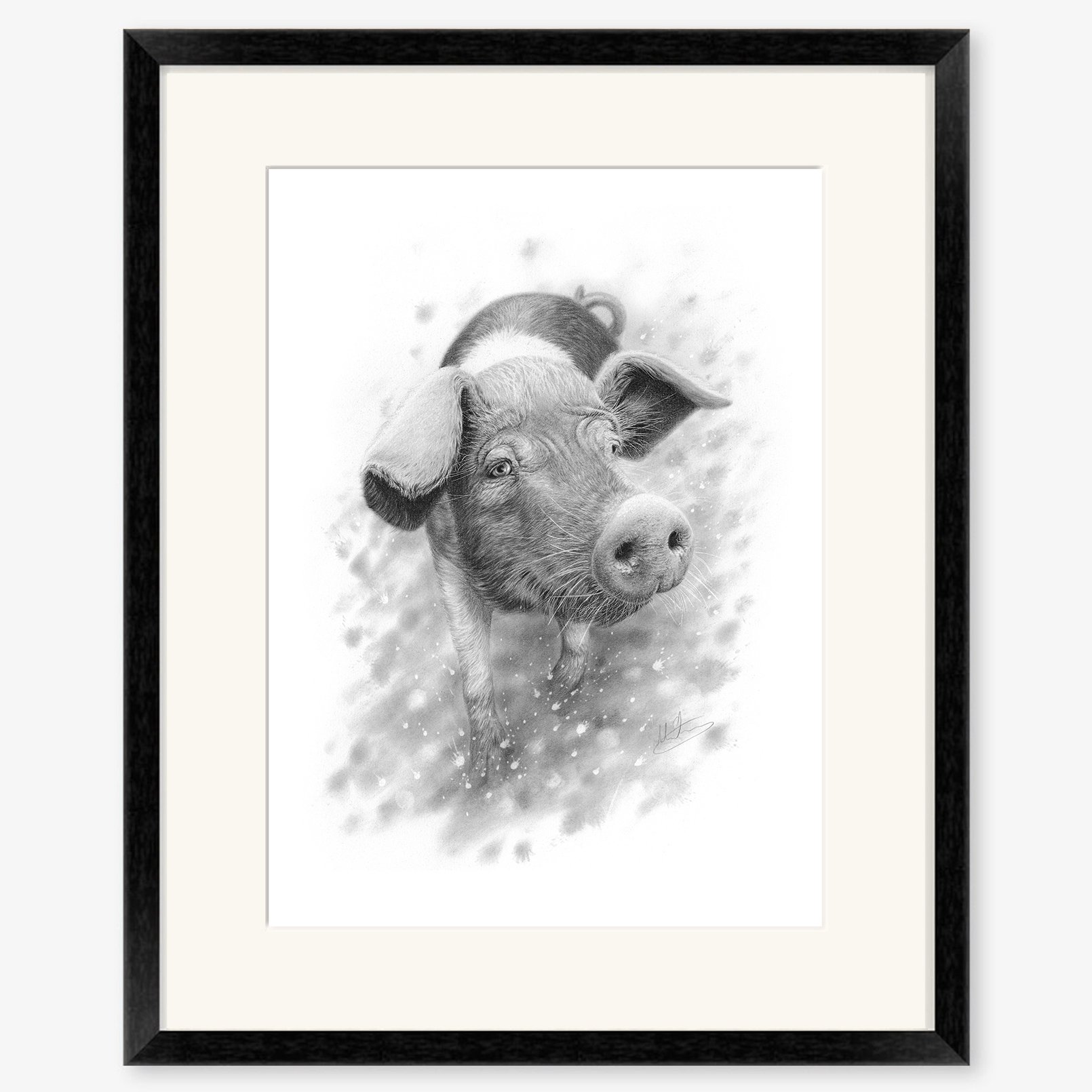 saddleback_pig_black.jpg