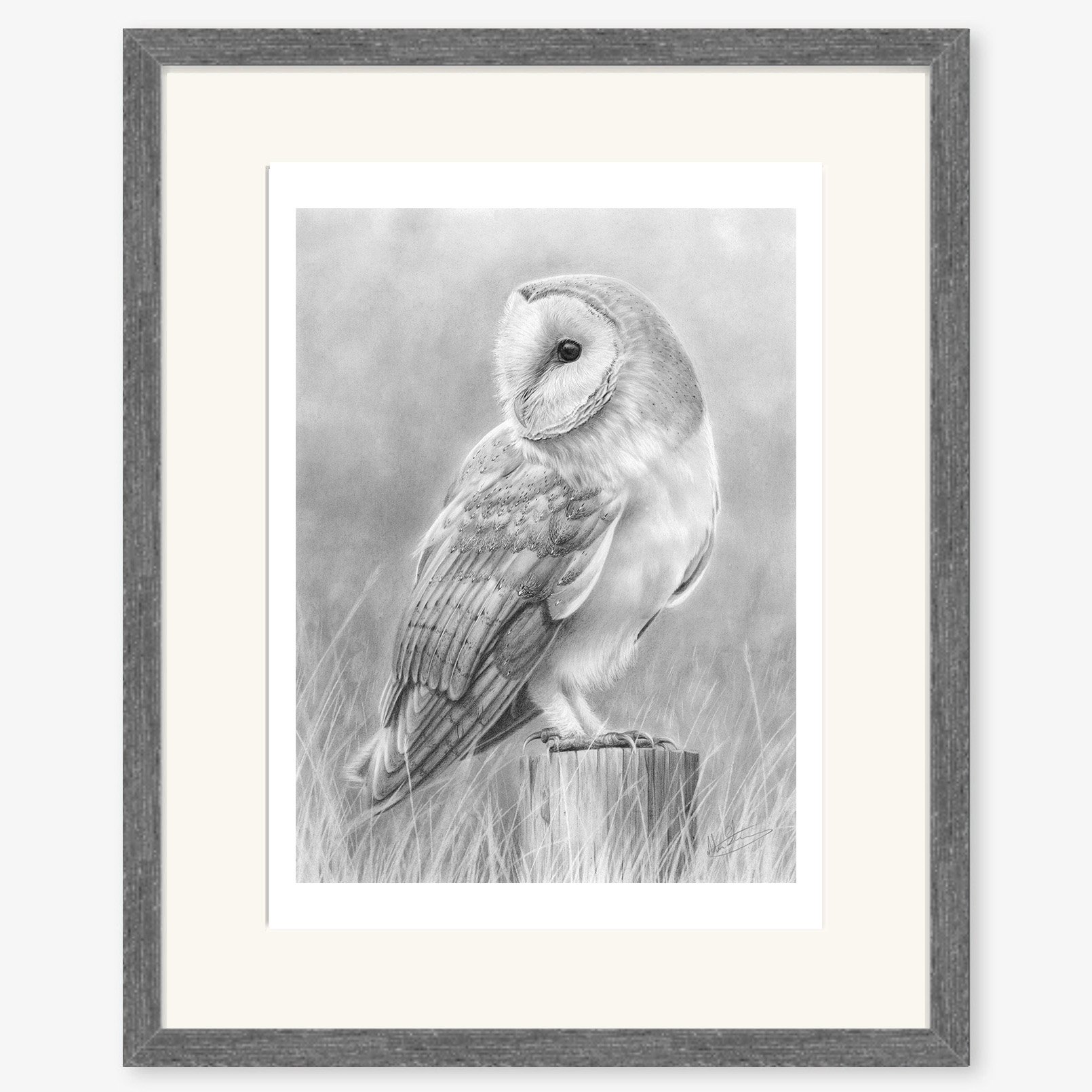 Barn Owl 2_charcoal.jpg