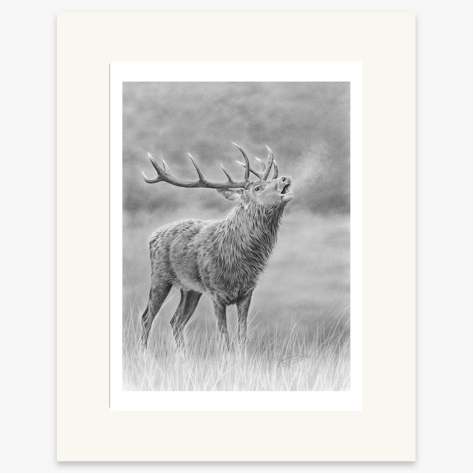 roaring_stag_mounted.jpg