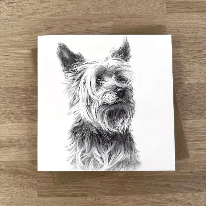 yorkshire_terrier.jpg