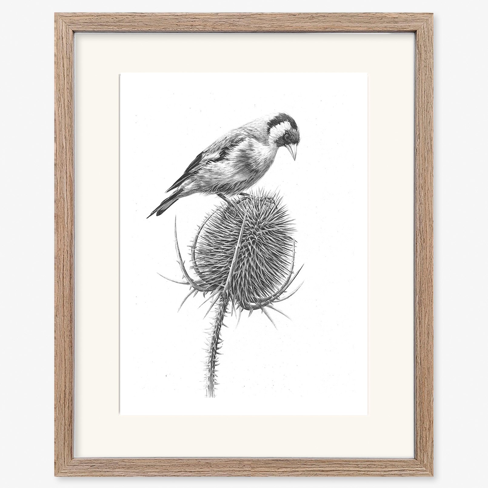 goldfinch_on_teasel_walnut.jpg