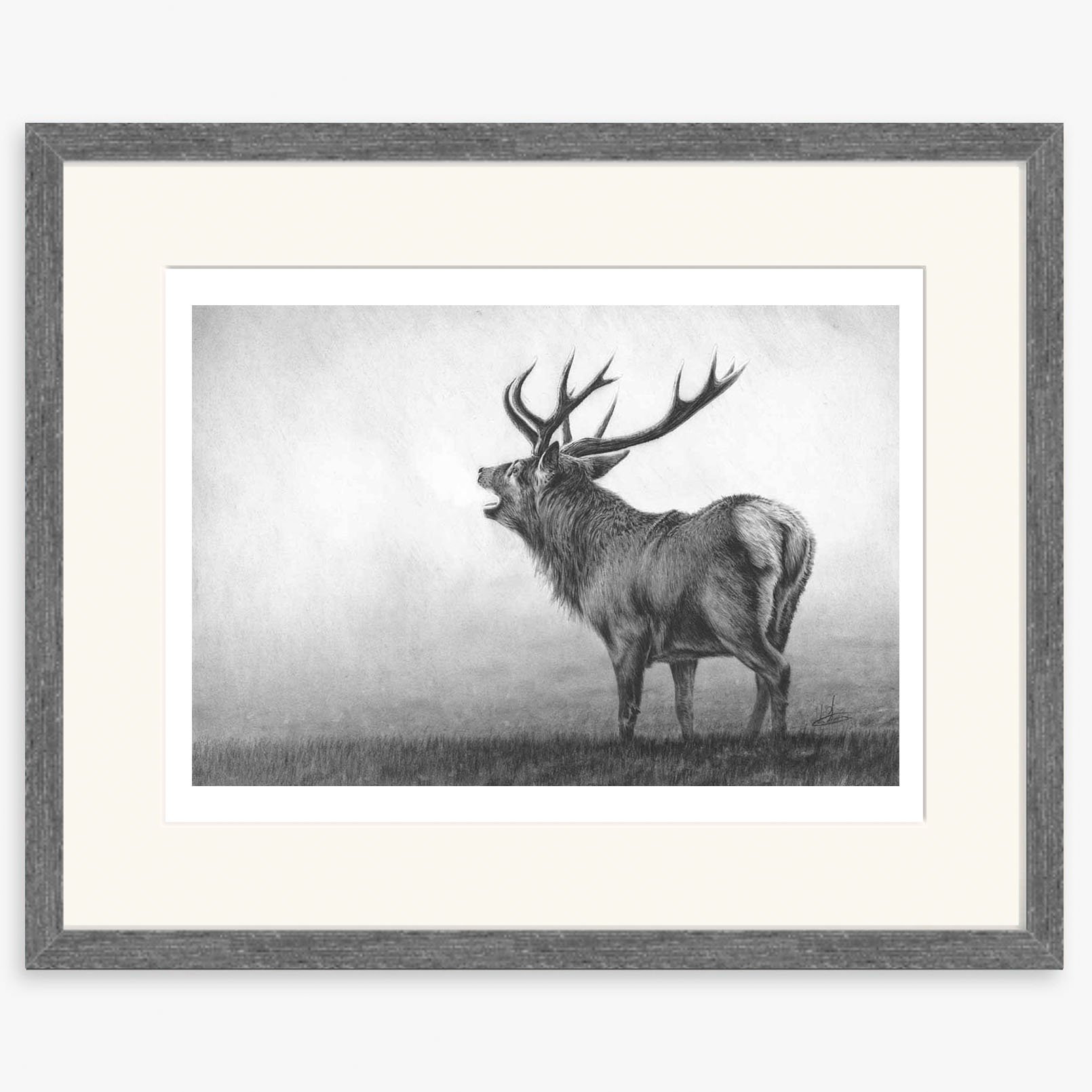 roaring_stag_II_charcoal.jpg