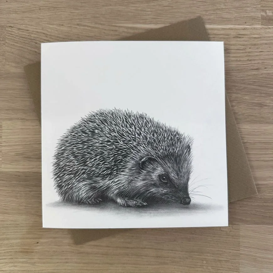 hedgehog.jpg