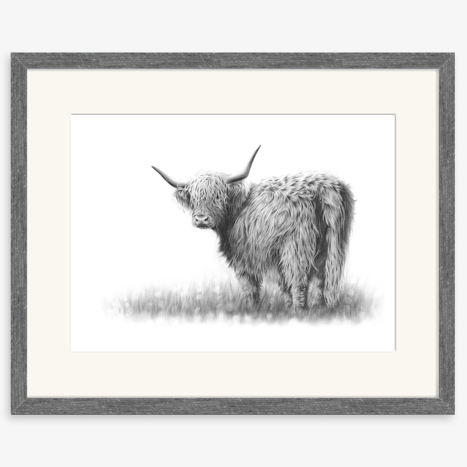 Highland_cow_III_charcoal.jpg
