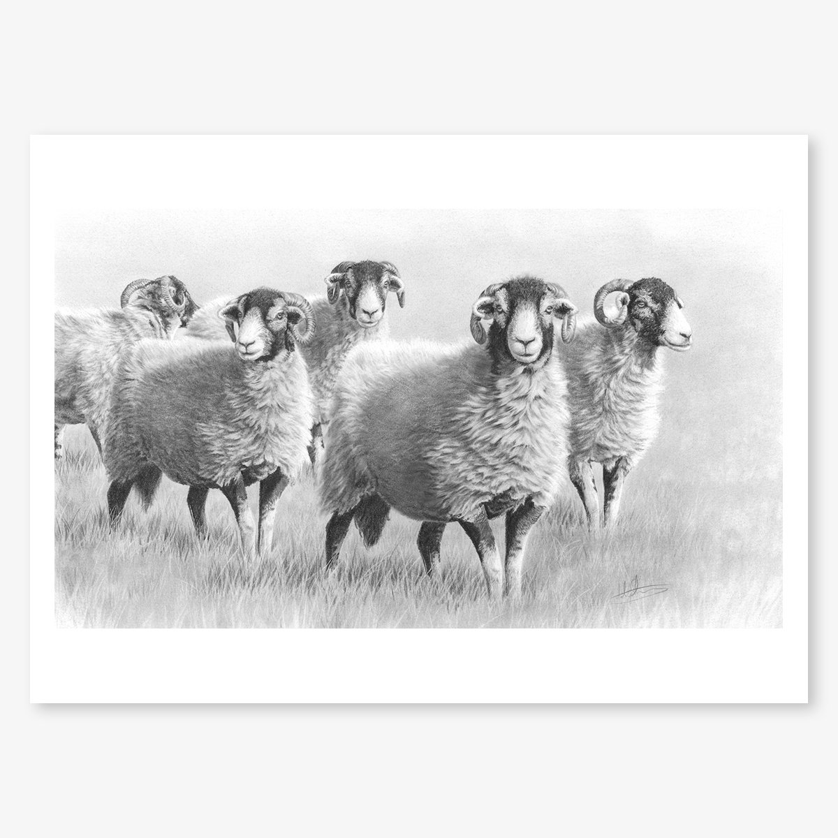 Summer_swaledales_floating.jpg