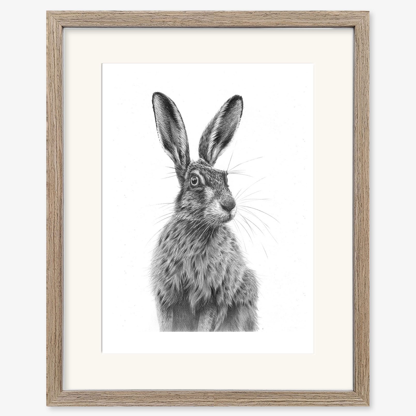 sitting_hare_III_walnut.jpg