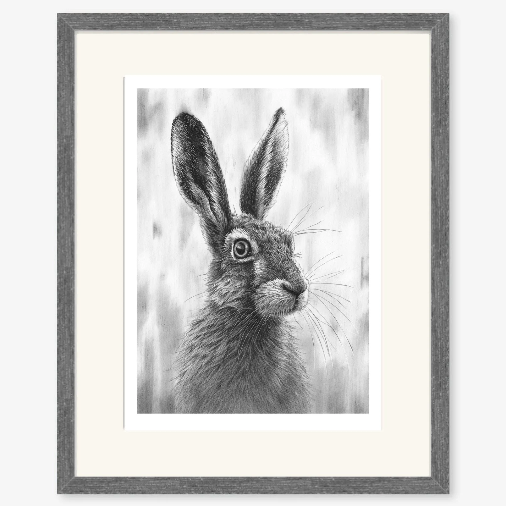 brown_hare_V_charcoal.jpg