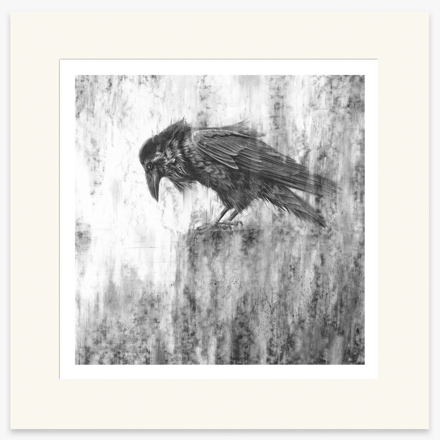 raven_IV_mounted.jpg