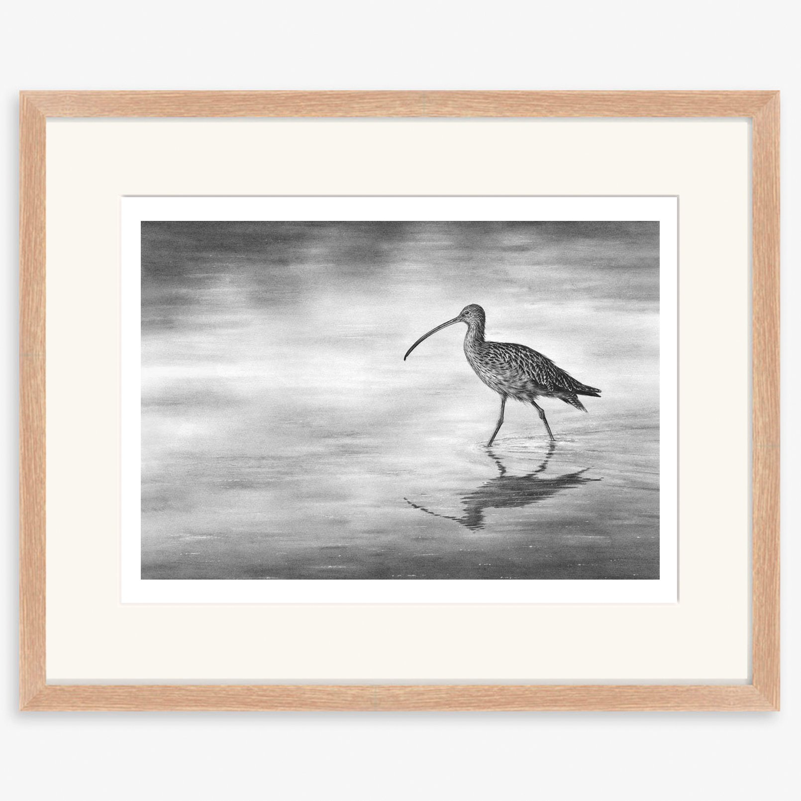 curlew-wading-II_oak.jpg